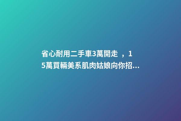 省心耐用二手車3萬開走，15萬買輛美系肌肉姑娘向你招手